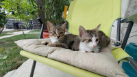 /album/221/251ce635-c97a-4bb8-90ae-70abc966ff51-kopie-jpeg/